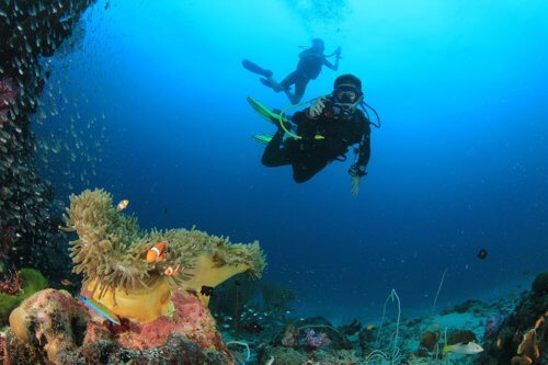 Similan Islands Diving Day Trips From Phuket And Khao Lak