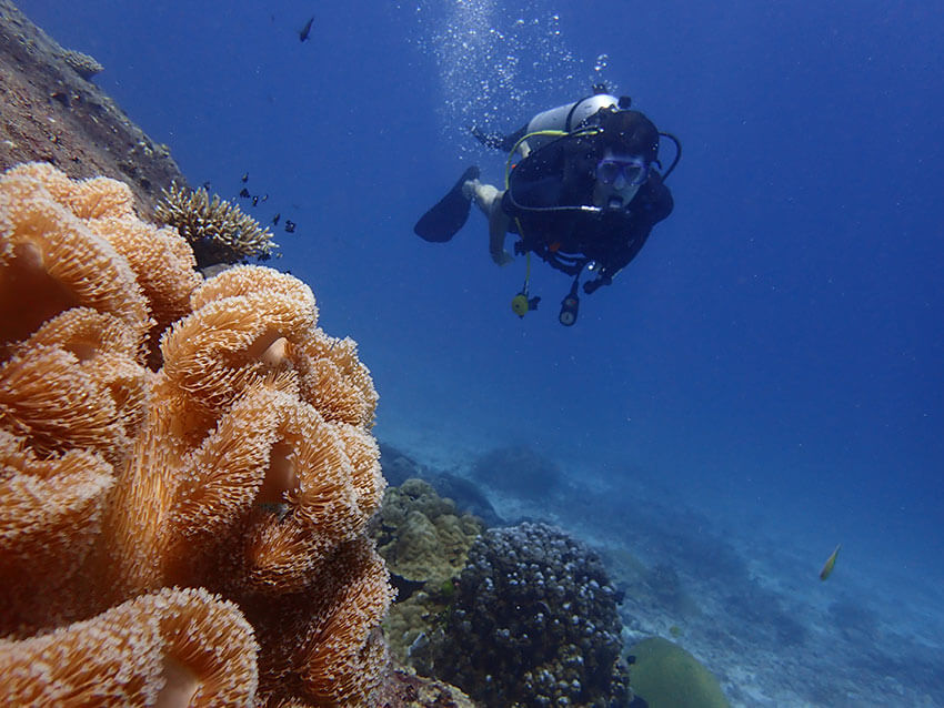 Discover Scuba Diving - Try Diving for Beginners in Phuket
