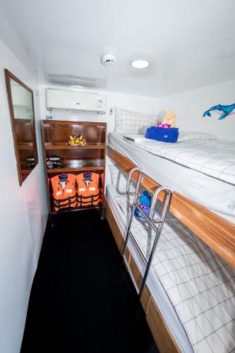 Standard Bunk Cabin - Upper Deck